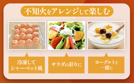 不知火 デコポン 同品種 約5kg 日本フルーツ株式会社 熊本県 荒尾市 《1月下旬-2月末頃出荷予定》 デコポン 果物 秀品 フルーツ スイーツ デザート ギフト ご贈答