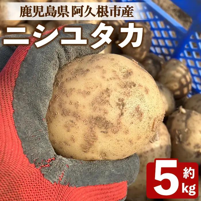 じゃがいも ニシユタカ(5kg) 国産 鹿児島県産 阿久根市産 じゃがいも ジャガイモ 芋 ポテト にしゆたか 野菜 期間限定 数量限定 ポテトサラダ コロッケ 常温 常温配送 【慶越農園】akn107-09