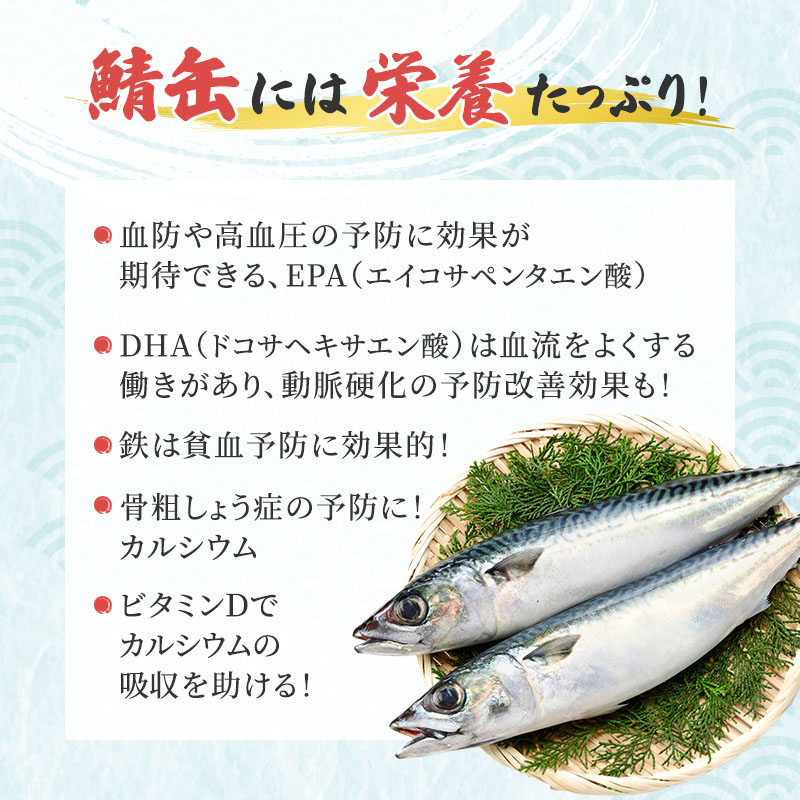 【祝北陸新幹線延伸】サバ缶 若狭の鯖缶 24缶 セット 水煮 鯖缶 さば サバ 鯖 缶 缶詰 魚 魚介 魚介類 海鮮 福井 若狭町