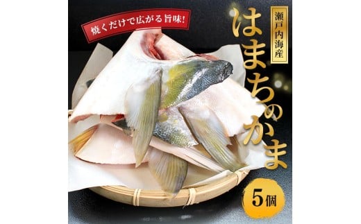 瀬戸内海産 天然 はまちかま ハマチ 5個 新鮮 魚 一本釣り 釣り 海 海産物 海の幸 魚介 惣菜 塩焼き 煮付け 切身 人気 国産 カマ はまち 鮮魚 切り身 瀬戸内海 おかず 美味 美味しい 簡単 おつまみ 朝ごはん 冷凍 冷凍配送 お取寄 急速冷凍 小分け 香川県 香川 丸亀 ふるさと納税