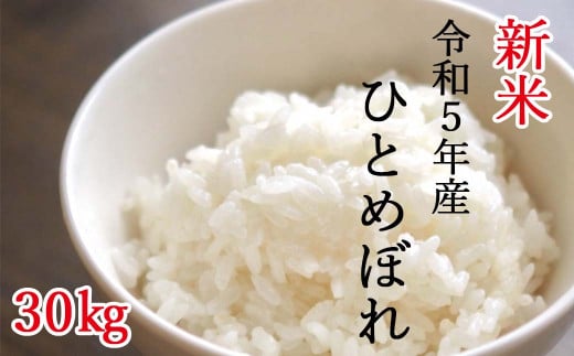 【令和5年産 新米】平泉町産ひとめぼれ　精米30kg（30kg×1袋）