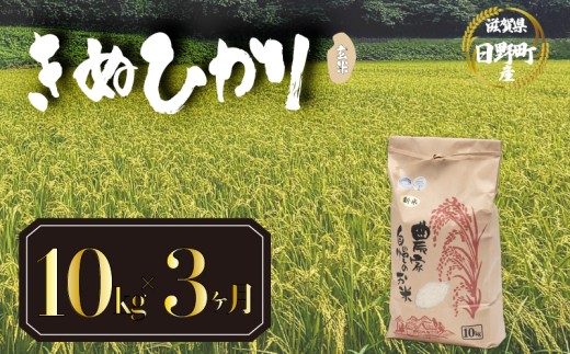 【 令和8年産 米 10kg  定期便 3ヶ月 】 きぬひかり 米 玄米 国産 滋賀県 日野町 農家直送 お米 おこめ こめ 産地直送 ふるさと納税