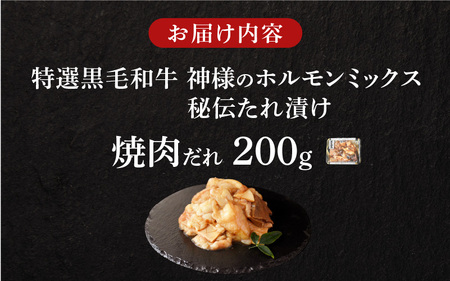 【 スピード発送 】【 特選 黒毛和牛 】 神様のホルモンミックス 秘伝たれ漬け 200g（焼肉だれ1p）