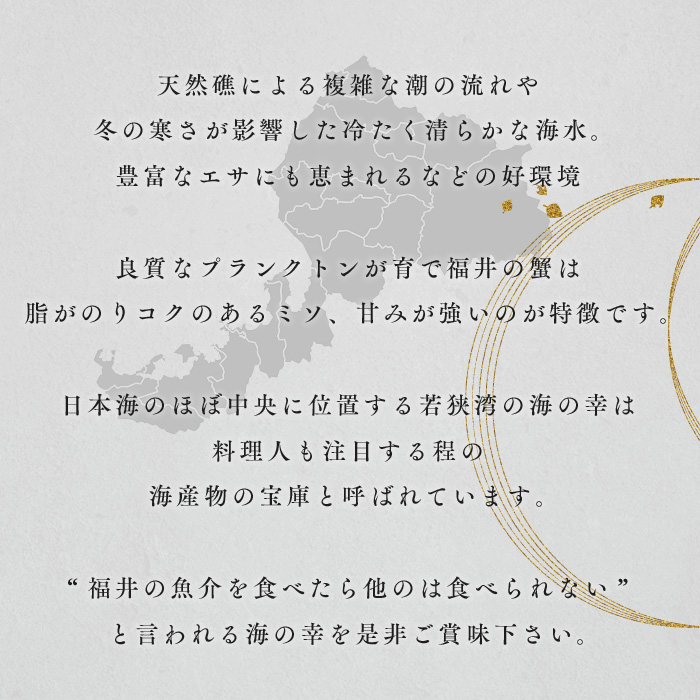 訳あり茹で越前ガニ 500g以上×2杯(脚折れ) カニ ズワイガニ ボイル 福井県