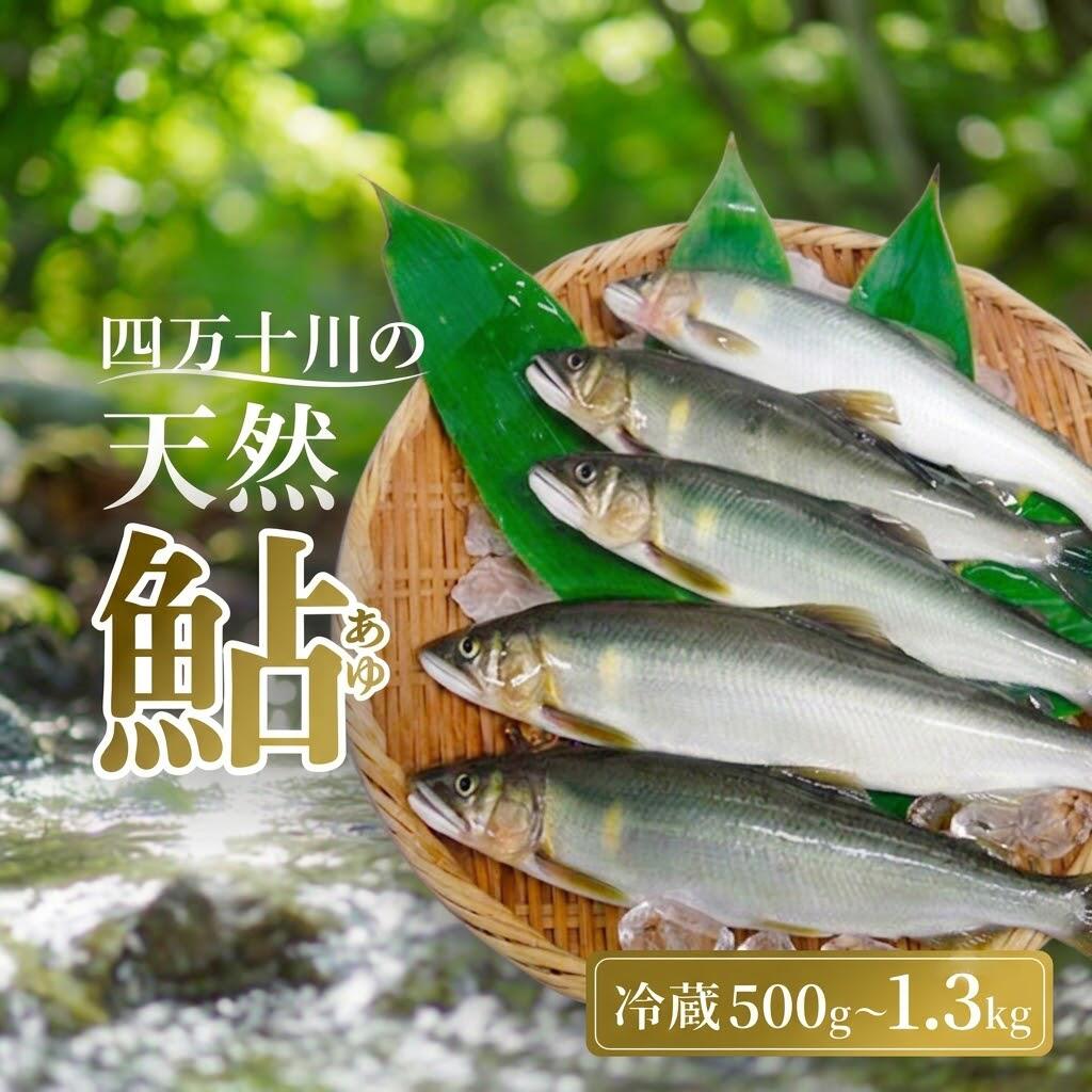 【ふるさと納税】 鮎 500g～1.3kg 4～22尾 冷蔵 天然鮎 四万十川 四万十川 上流 清流 釣り鮎 あゆ アユ 川魚 天然 あゆ 釣り アユ 魚 さかな 魚介 煮物 甘露煮 塩焼き 寿司 小分け 生 新鮮 アウトドア バーベキュー BBQ キャンプ おつまみ おかず 高知県 四万十 中土佐