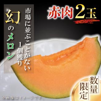 【2026年6月下旬より順次発送】【数量限定】1個獲り★幻のメロン　赤肉(2玉入り1箱)｜メロン 赤肉 赤肉メロン 果物 フルーツ くだもの 旬 幻のメロン 数量限定 先行予約 茨城県 行方市(AY-
