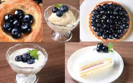 （ 先行予約 ） ブルーベリー 400g ブルーベリー