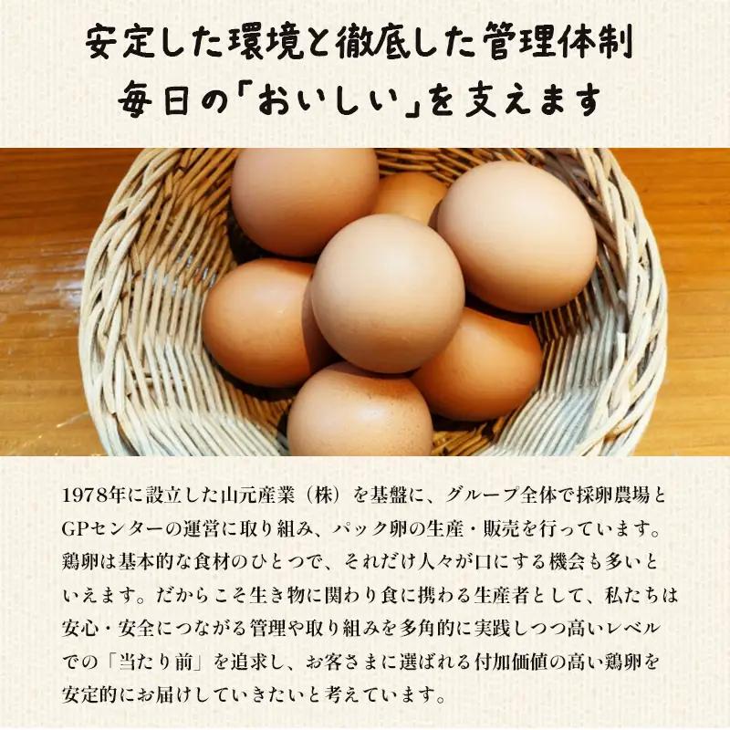 【 隔週２４回定期便 】 卵 赤たまご 2880個 ： 120個×24回 たまご 【配送不可地域：北海道、沖縄、離島】