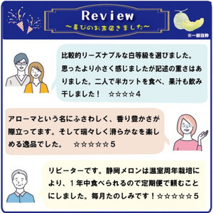 【毎月定期便】アローマメロン1玉(約1.0kg以上/玉) 全12回【配送不可地域：離島・北海道・沖縄県】【4051491】
