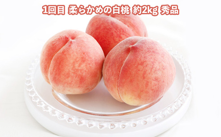 【定期便3回】どれも美味しい 山形フルーツ 贅沢5種便【令和8年産先行予約】FS25-122