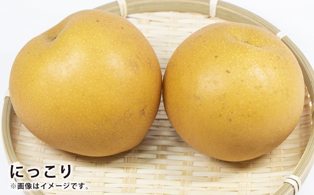 浅岡農園の梨 約5kg