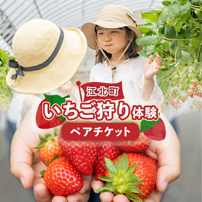 【ふるさと納税】【先行予約】いちご狩り体験 ペアチケット【花祭いちごの谷】 [HBN002]