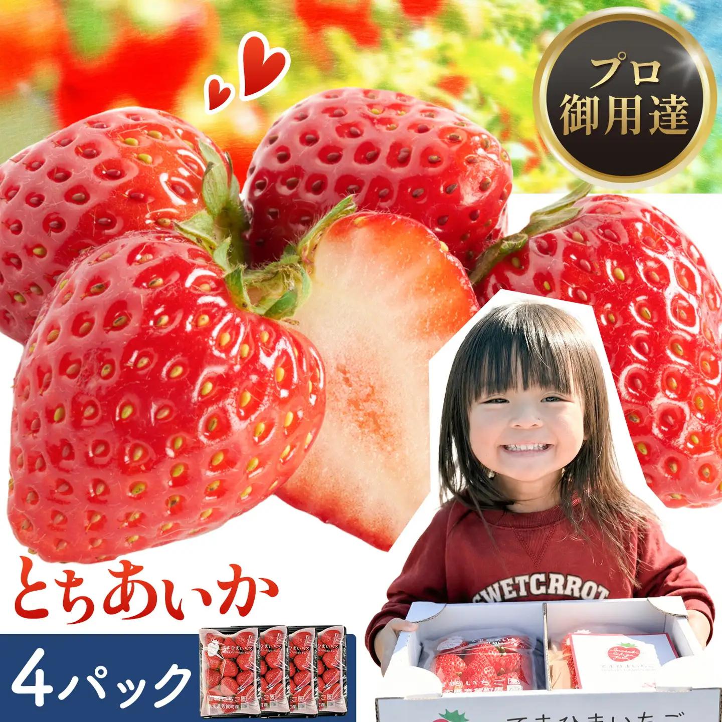 いちご 栃木県芳賀町産 とちあいか 4パック 岩崎いちご園