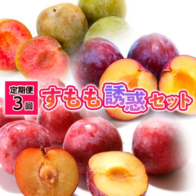 ふるさと納税 山形市 【定期便3回】すもも誘惑セット 【令和8年産先行予約】FS24-508