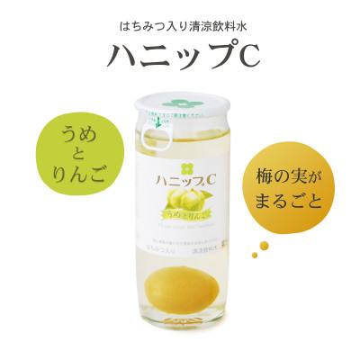 ふるさと納税 古座川町 【古座川町】果実入り清涼飲料水 ハニップC 2種類セット |  | 01