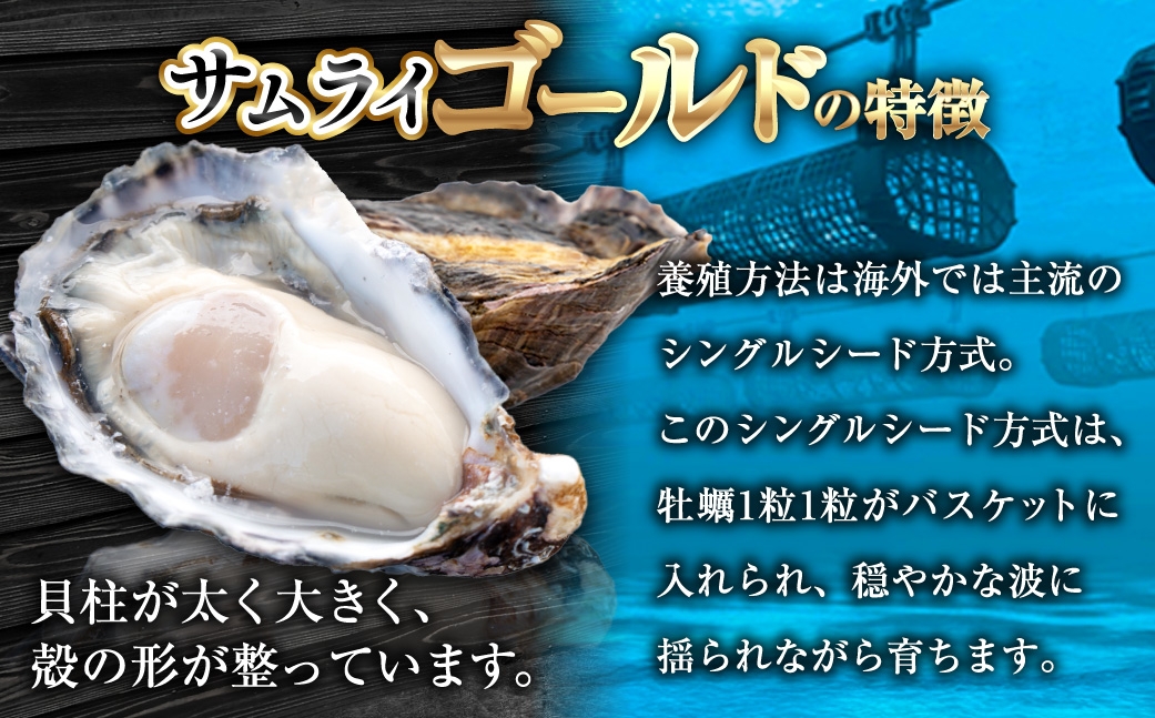 サムライゴールド坂越産殻付き生牡蠣 40個