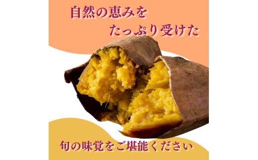 『えがお畑』で採れた紅はるか 2.5kg