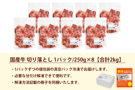 国産牛切り落とし2kg（250g×8パック）（DV072）
