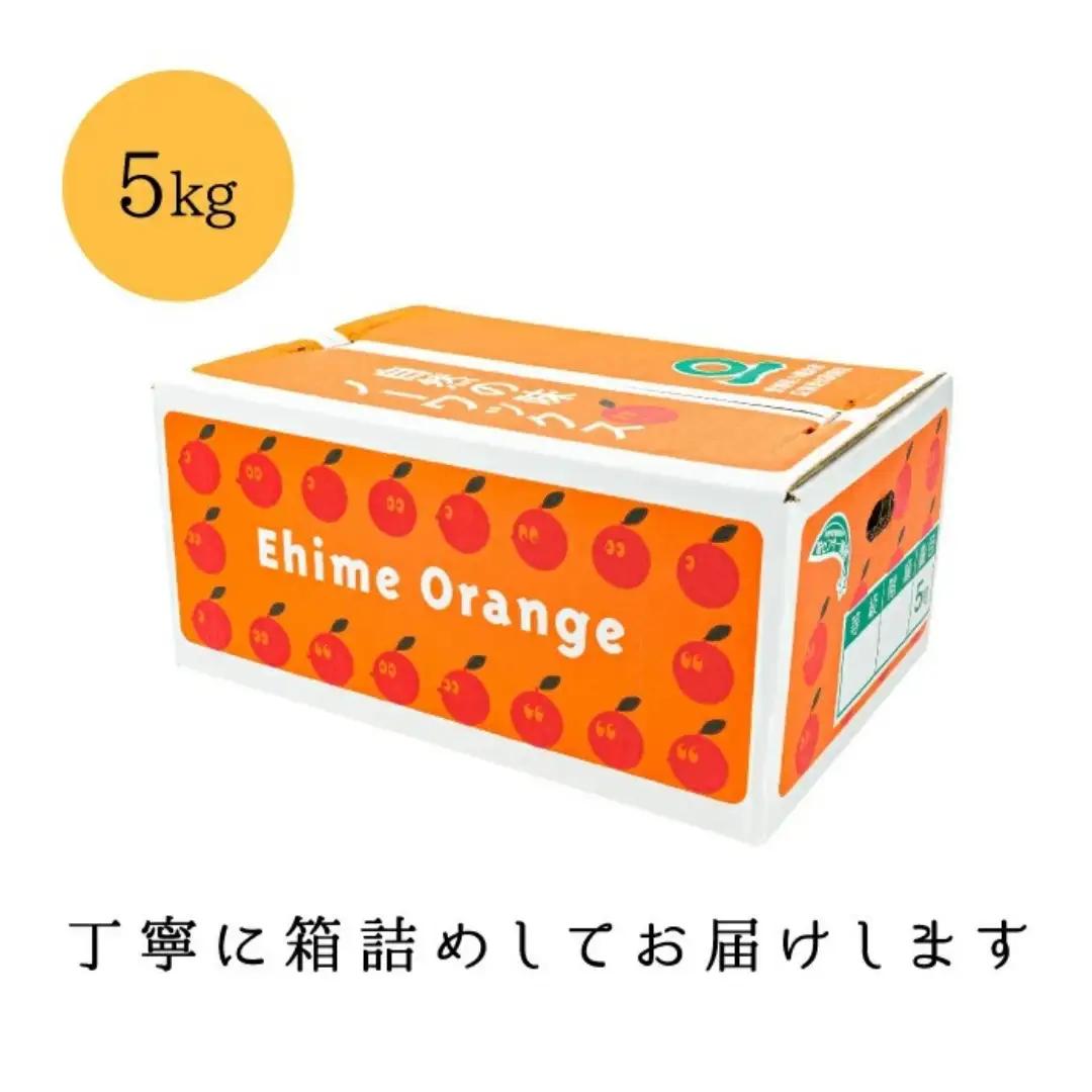 【糖度14.0以上酸1.4以下】糖酸選別品 愛媛産 不知火 (しらぬひ) 5kg【D20-61】【配送不可地域：離島】【1620228】 YWTI056