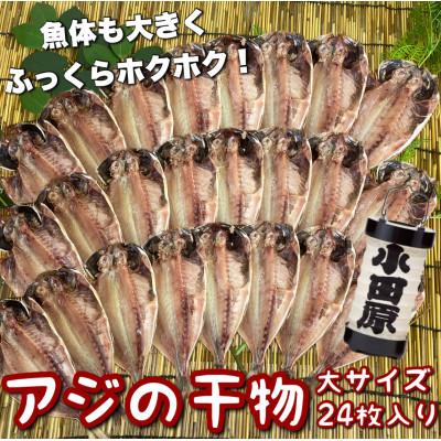 ふるさと納税 小田原市 鯵の干物 大サイズ 24枚セット 身が大きく、脂の乗った鯵は夕食にピッタリ!【神奈川県小田原市早川】