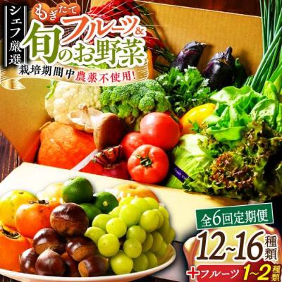 ふるさと納税 大洲市 【全6回定期便】栽培期間中農薬不使用!旬のお野菜セット×もぎたてフルーツセット [AGBX007]