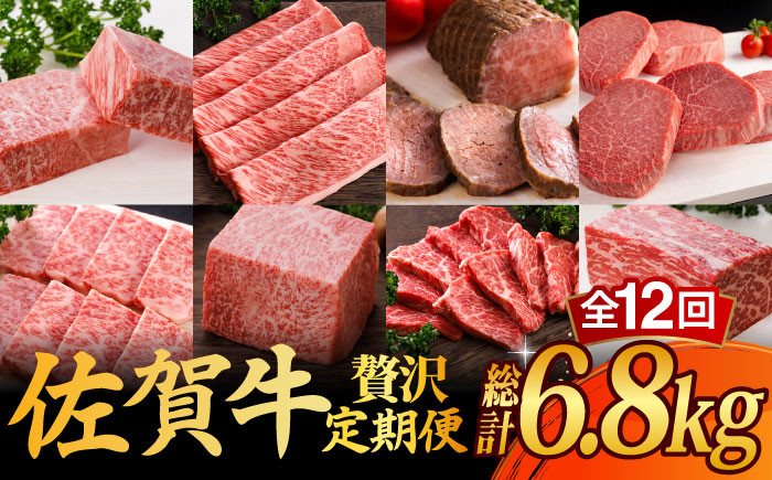 
【全12回】 A5ランク 佐賀牛 霜降り 食べ比べ 定期便 約2-3人前 総計6.8kg 50万 /焼肉どすこい [UCC004] 最高級 牛肉 肉 ステーキ スライス ローストビーフ 焼肉
