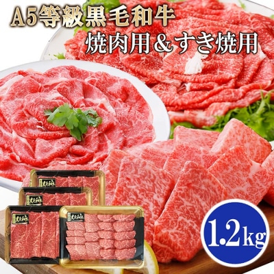 
鹿児島県産A5等級黒毛和牛焼肉用&すき焼用(合計1.2Kg) C0-21【1166335】
