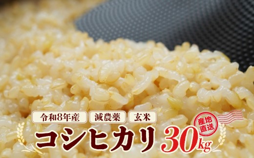 減農薬コシヒカリ玄米　30kg　令和8年産　会津　喜多方【07208-0985】