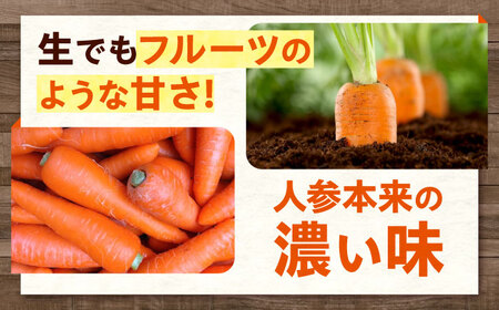 人参 10kg 人参 にんじん 野菜 やさい 旬の野菜 旬 季節 新鮮 採れたて 広島県福山市/しもみん農場[BAGT004]