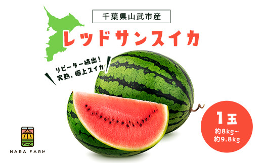 【先行予約】【2027年6月上旬から発送】レッドサンスイカ（約8kg～約9.8kg×1玉）【 ふるさと納税 人気 おすすめ ランキング レッドサン スイカ 西瓜 すいか 西瓜 果物 フルーツ 国産 産地直送 甘い 野菜 千葉県 山武市 送料無料 】 SMAF001