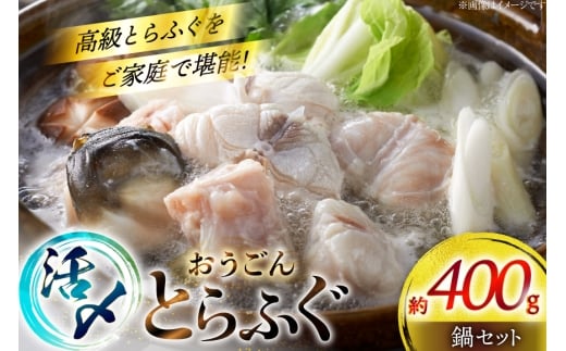 ふぐ 鍋 セット 活〆 おうごんとらふぐ 鍋セット 約400g [松永水産 長崎県 平戸市 hr42bgy400155] とらふぐ フグ 河豚 てっちり ふぐちり ふぐ料理 魚介 さかな 切り身 冷凍 海鮮 ふぐ鍋 唐揚げ ポン酢