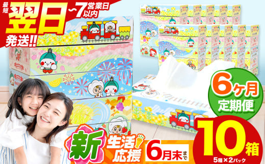 最短翌日発送 人気急上昇 高評価 ティッシュ BOX  【 定期便6回 】5箱 × 2パック  |  限定 最大 真岡市 オリジナル 300枚 150組 5箱 10箱 30箱 60箱 定期便 便利 日用品 雑貨 必需品 紙 柔らかい なめらか 蒸気機関車 SL 栃木県 真岡市 PR 災害 備蓄 大容量