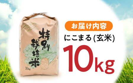 【最速発送】【令和6年産】【特別栽培米】九州のこだわり「にこまる」 玄米 10kg / 米 こめ お米 おこめ げんまい にこまる 長崎県産   / 諫早市 / 上島農産 [AHAS002] 最速 最