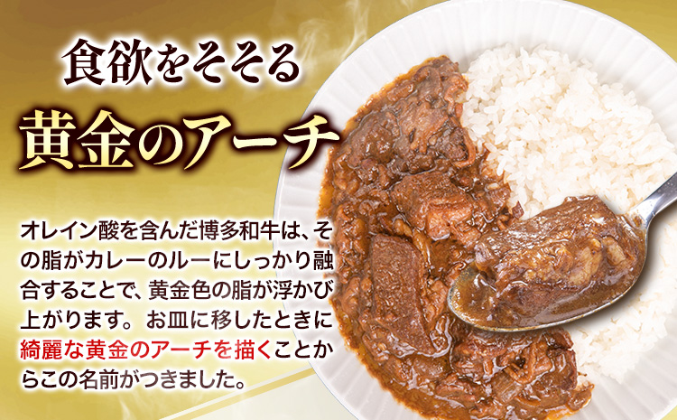 博多和牛の黄金カレー 200g×5食 清柳食産《30日以内に出荷予定(土日祝除く)》九州産 牛 カレー 黄金カレー---skr_fsruhkri_30d_23_13200_5i---