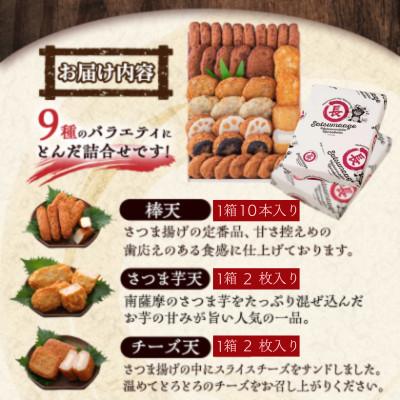 ふるさと納税 枕崎市 鹿児島 松野下蒲鉾 さつま揚げ詰合せ　2セット分 B3-113 |  | 02