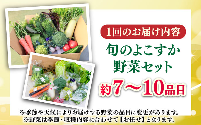 【全3回定期便】よこすか野菜セット すかなボックス 【JAよこすか葉山】 [AKFO007]