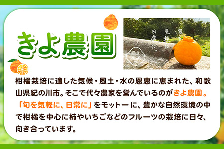 ＜先行予約＞希少！まりひめ　特大サイズ　約300g～350g×4パック きよ農園