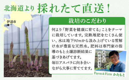 【2026年先行予約】太くてあまーい 北海道産 春芽 アスパラ (約2kg/LL以上中心+3L・L混合 ) 先行予約 新鮮 採れたて直送 旬 野菜 あすぱら 農家直送 北海道  Farm&Firm か