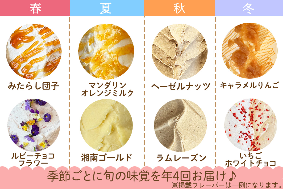 [定期便／約3ヶ月に1回 全4回] 石田牧場のジェラート屋めぐり おまかせ ジェラート 計48個 (12個×4回)｜石田牧場 ジェラート 伊勢原 贅沢素材 アイス アイスクリーム スイーツ ギフト 詰