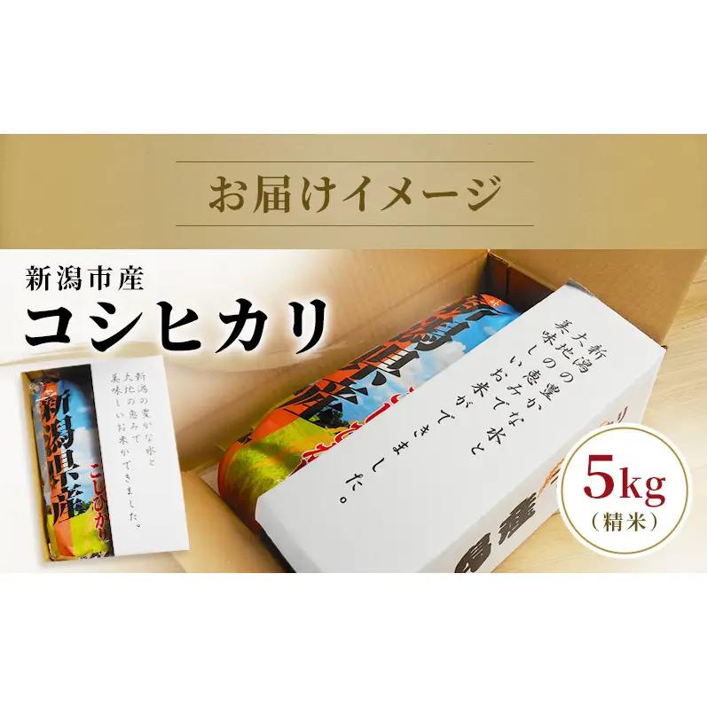 令和7年度米 新潟市産 越後金四郎コシヒカリ（特別栽培米）20kg