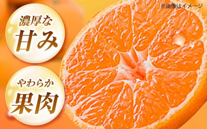 ハウスみかん 2kg 【7月下旬から9月下旬まで順次発送】 / フルーツ 果物 蜜柑 ミカン オレンジ 小玉 甘い 先行予約 2kg 愛媛 / 愛媛県砥部町/株式会社フジ・アグリフーズ [BJBI00