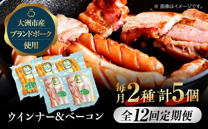 【全12回定期便】秒でプラスもう一品！大洲市産ブランドポーク『オズの箱入り娘』を使用したベーコンとウィンナーセット（小）　愛媛県大洲市/株式会社オズメッセ [AGAZ084]