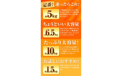 訳あり みかん (3S～3L) 約1.5kg《10月上旬‐12月下旬頃に発送(土日祝を除く)》和歌山県 日高町 果物 フルーツ 訳あり みかん 家庭用 お試し 大容量 送料無料