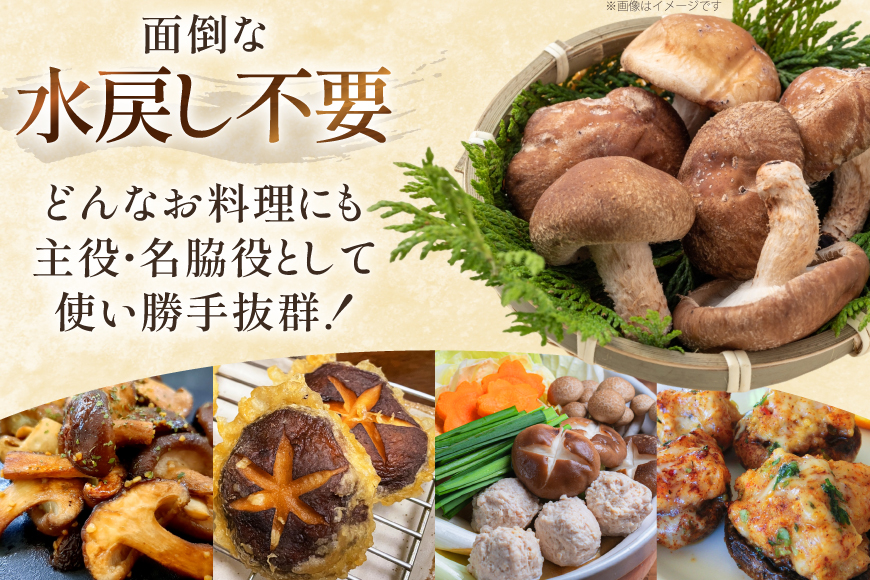 生しいたけ セット 約300g× 2袋 約150g× 2袋 計4袋 約900g [杉本きのこ園 宮崎県 美郷町 31bs0001] 菌床 椎茸 しいたけ シイタケ きのこ キノコ お鍋 天ぷら 炒め物