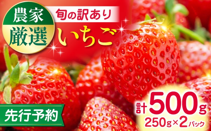 
            【先行予約】【2025年12月より順次発送】【訳あり】いちご 食べ比べ セット 4品種 計500g ( 250g × 2P ) 農園直送 産地直送 熊本県産 山都町産 イチゴ 苺 ストロベリー フルーツ 果物 【なかはた農園】 [YBI059]
          