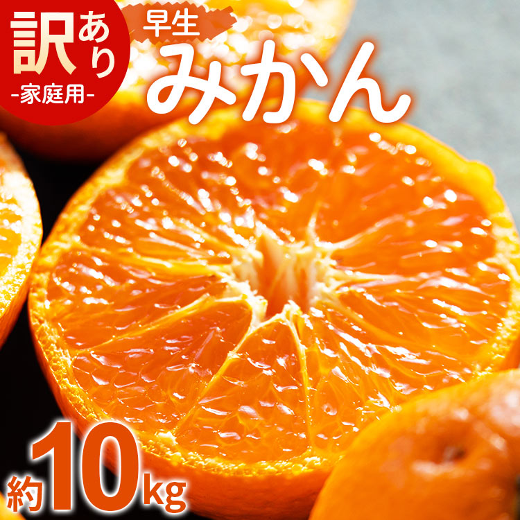 【ふるさと納税】家庭用 訳あり 早生みかん（Lサイズ）約10kg - 送料無料 フルーツ くだもの 果物 わせ 訳アリ 温州みかん ミカン 柑橘 甘い おいしい ご自宅用 旬 季節限定 かなや農園 合同会社Benifare 国産 特産品 高知県 香南市【常温】