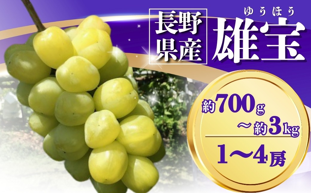 
                  【2026年先行予約】ぶどう 雄宝(ゆうほう) 約700g~約3kg (1~4房)｜ 果物 フルーツ ぶどう 葡萄 ブドウ 種無し 種なし 皮ごと 千曲市 長野県 信州
                