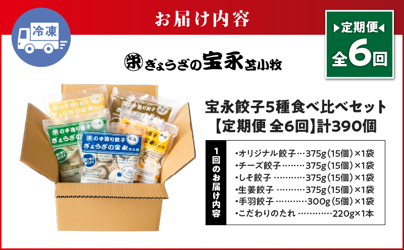 【定期便・全6回 毎月】手包み餃子 ぎょうざの宝永 5種食べ比べセット（65個入）　T004-T07-04