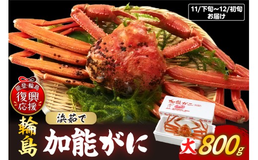 【先行予約】浜茹で 加能ガニ(雄ズワイガニ)【大】(2026年11月下旬～12月初旬発送) wa001-023-11 蟹 加能ガニ 加能 雄 オス おす ズワイガニ ずわいがに かに 蟹みそ ゆで 茹で ボイル 海鮮 魚介 海産物 能登 輪島 石川県