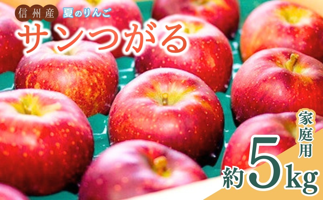 
                  【2026年先行予約】夏のりんご サンつがる 家庭用 約5㎏ 訳あり | 信州りんご 長野りんご リンゴ 林檎 千曲市 長野県産 信州
                
